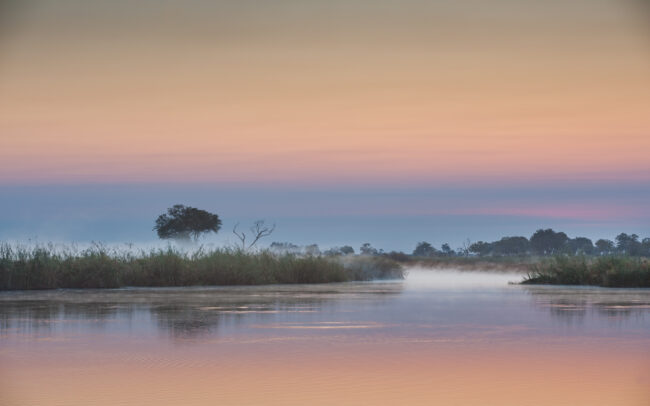 Linyanti Swamp • Kwando Lagoon, Botswana