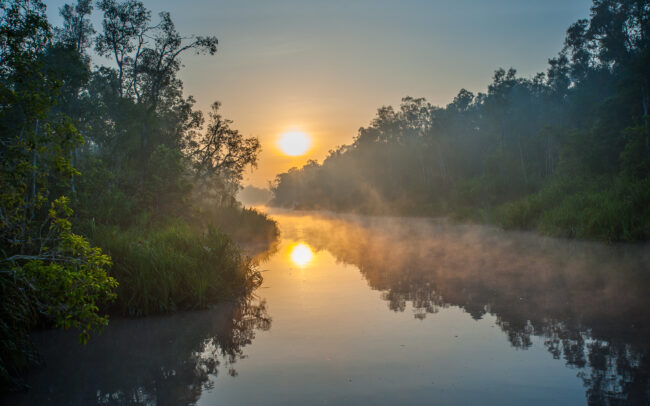 Sekonyer River • Tanjung Puting National Park, Indonesian Borneo