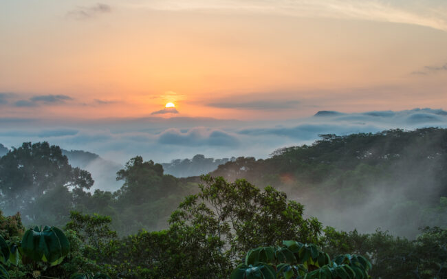 Canopy Tower • Soberania National Park, Panama