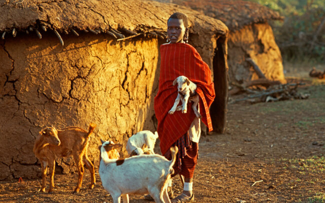 Masai Girl with Goats • Tanzania