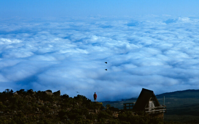 Above the Clouds • Mount Kilimanjaro, Tanzania