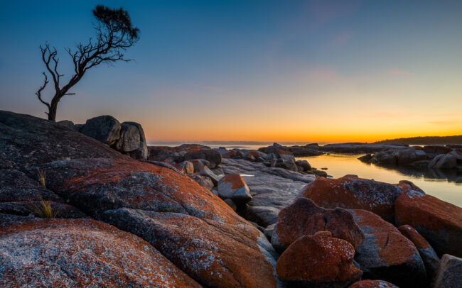 Orange Lichen Landscape • Binalong Bay, Tasmania, Australia
