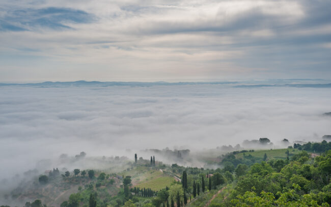 Foggy Landscape • Montalcino, Italy
