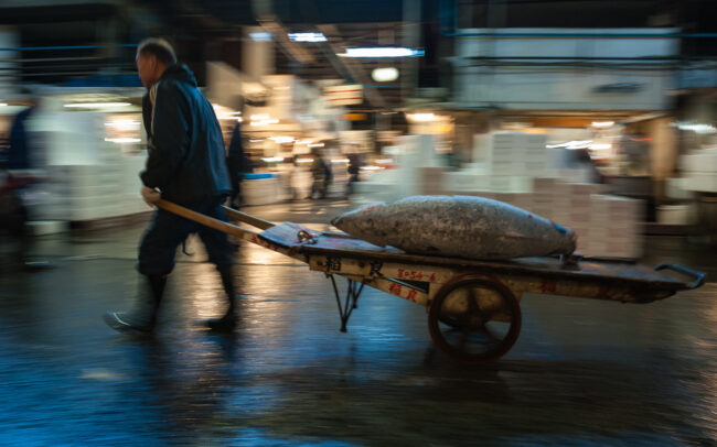 Tsukiji Fish Market • Tokyo, Japan
