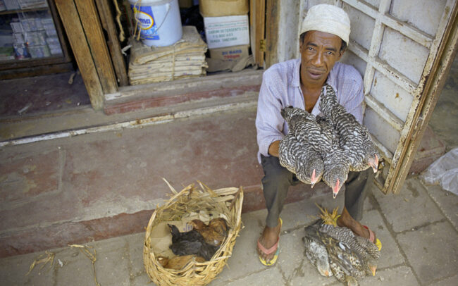 Man with Chickens • Stone Town, Zanzibar, Tanzania