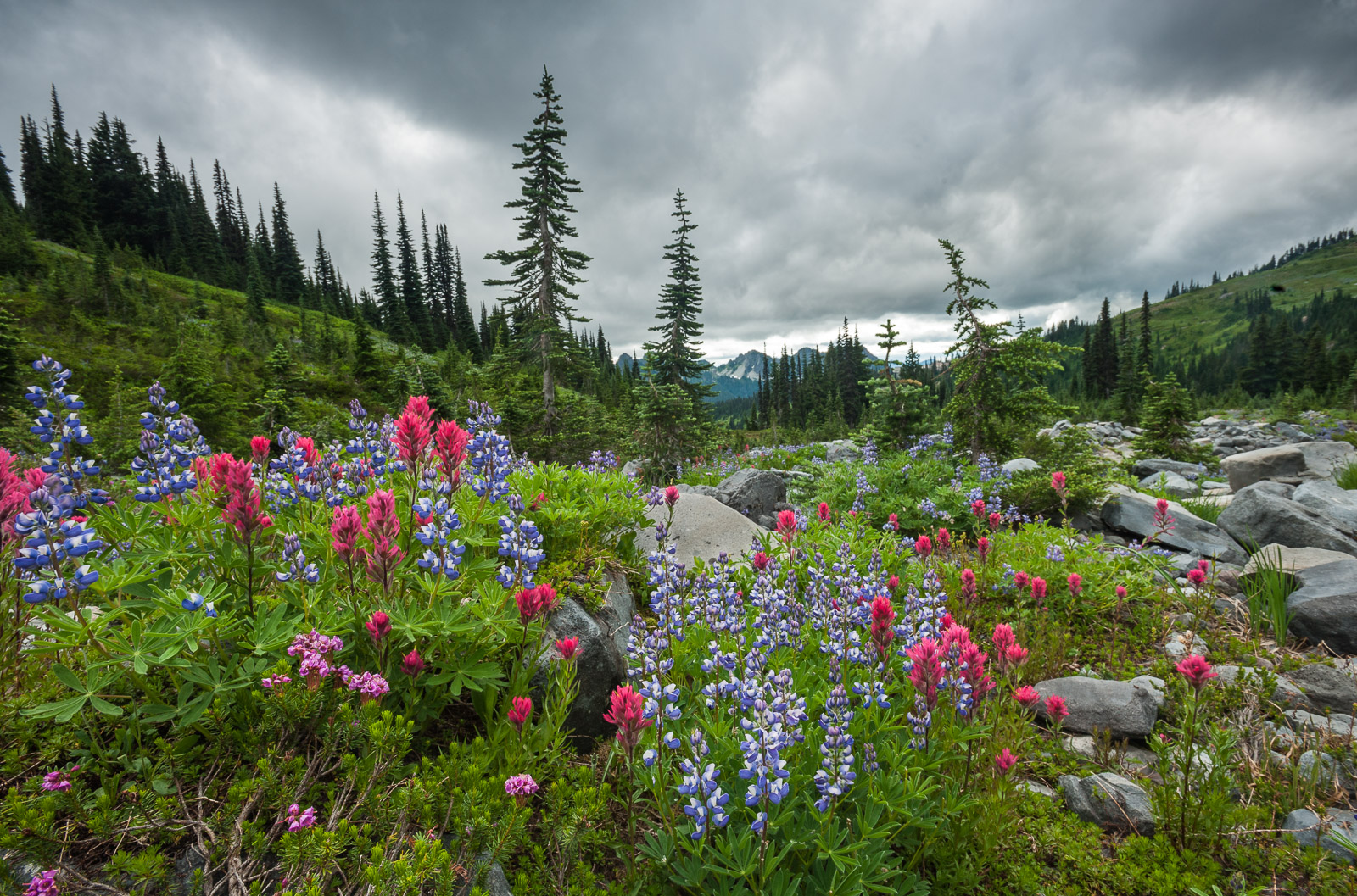 Mount Rainier, Washington