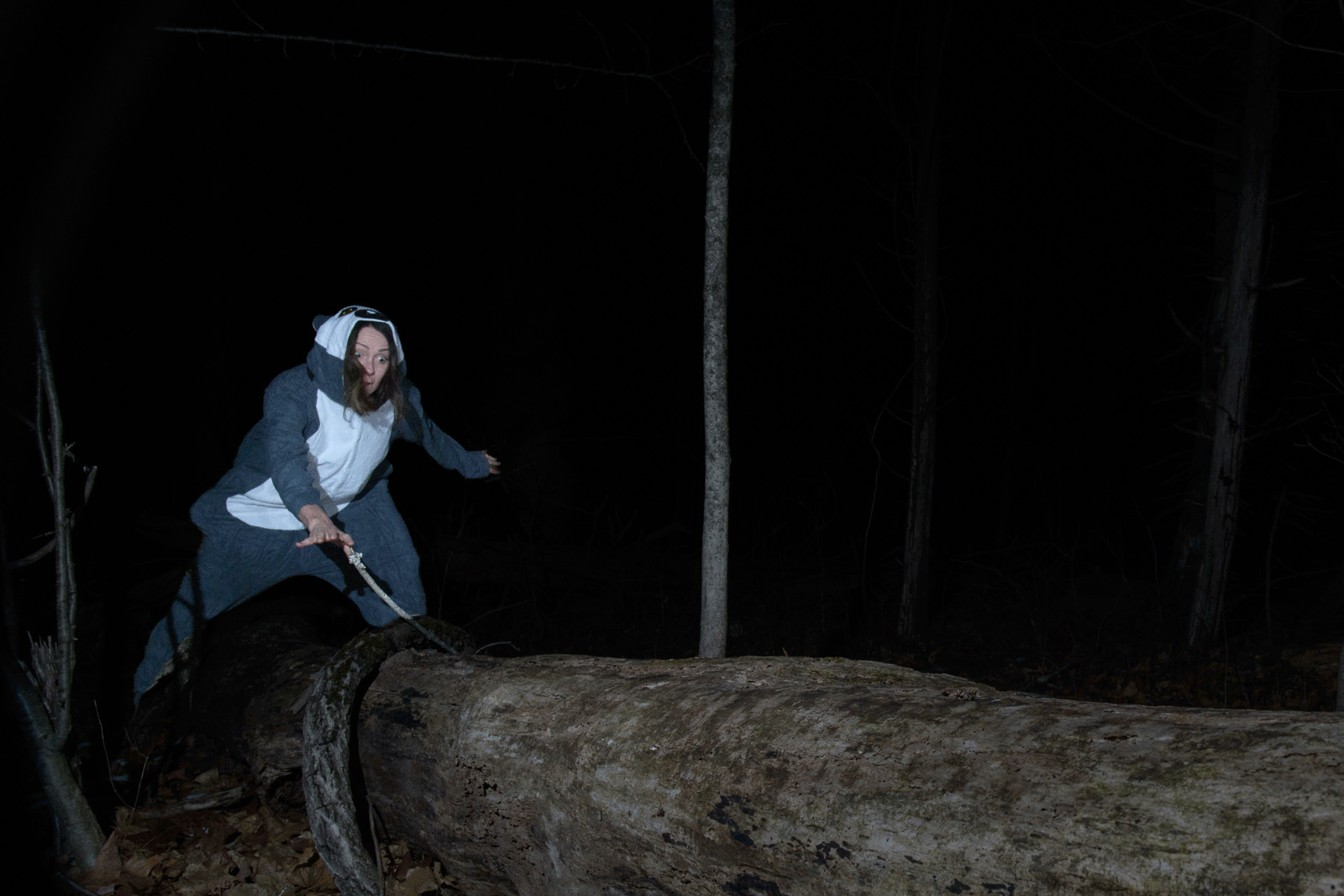 Human Lemur, Connecticut