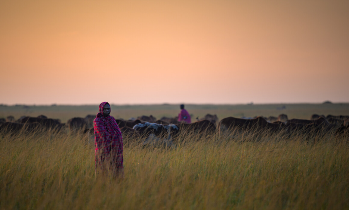 Maasai Cattle Herders, Kenya