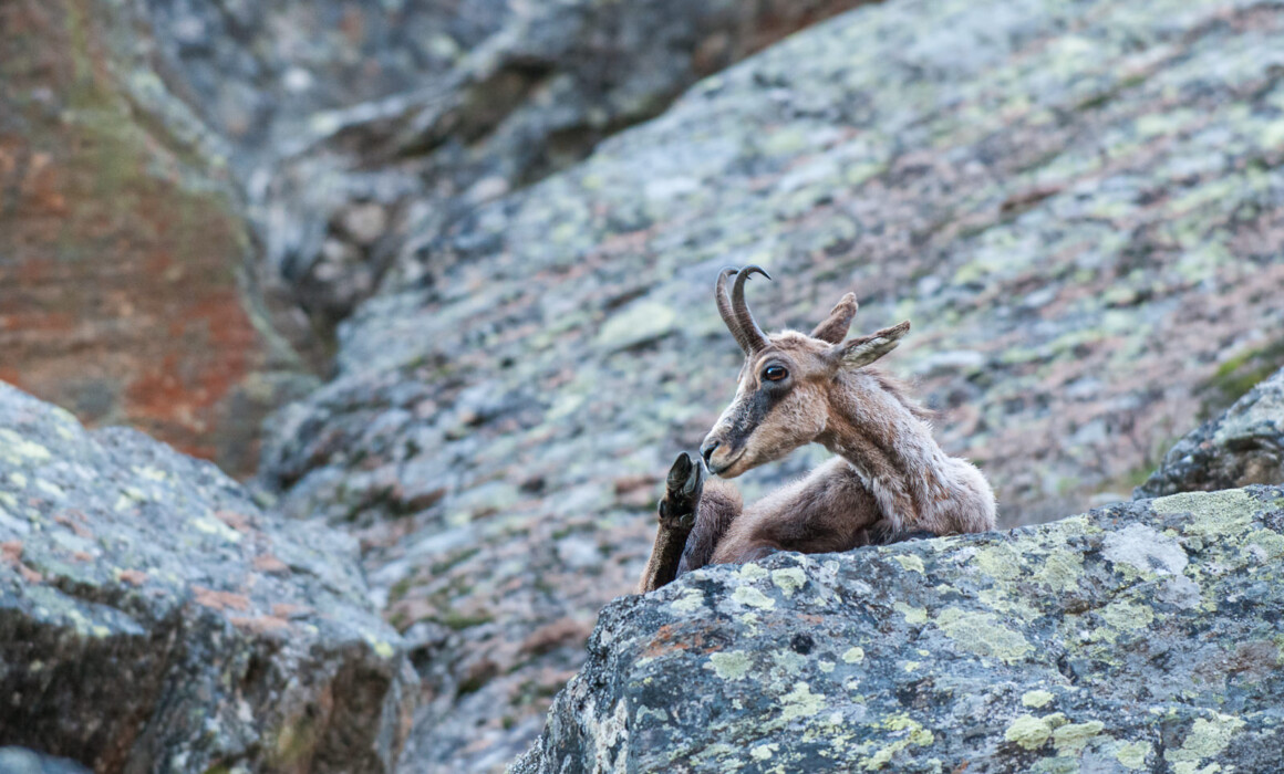 Chamois, Italy