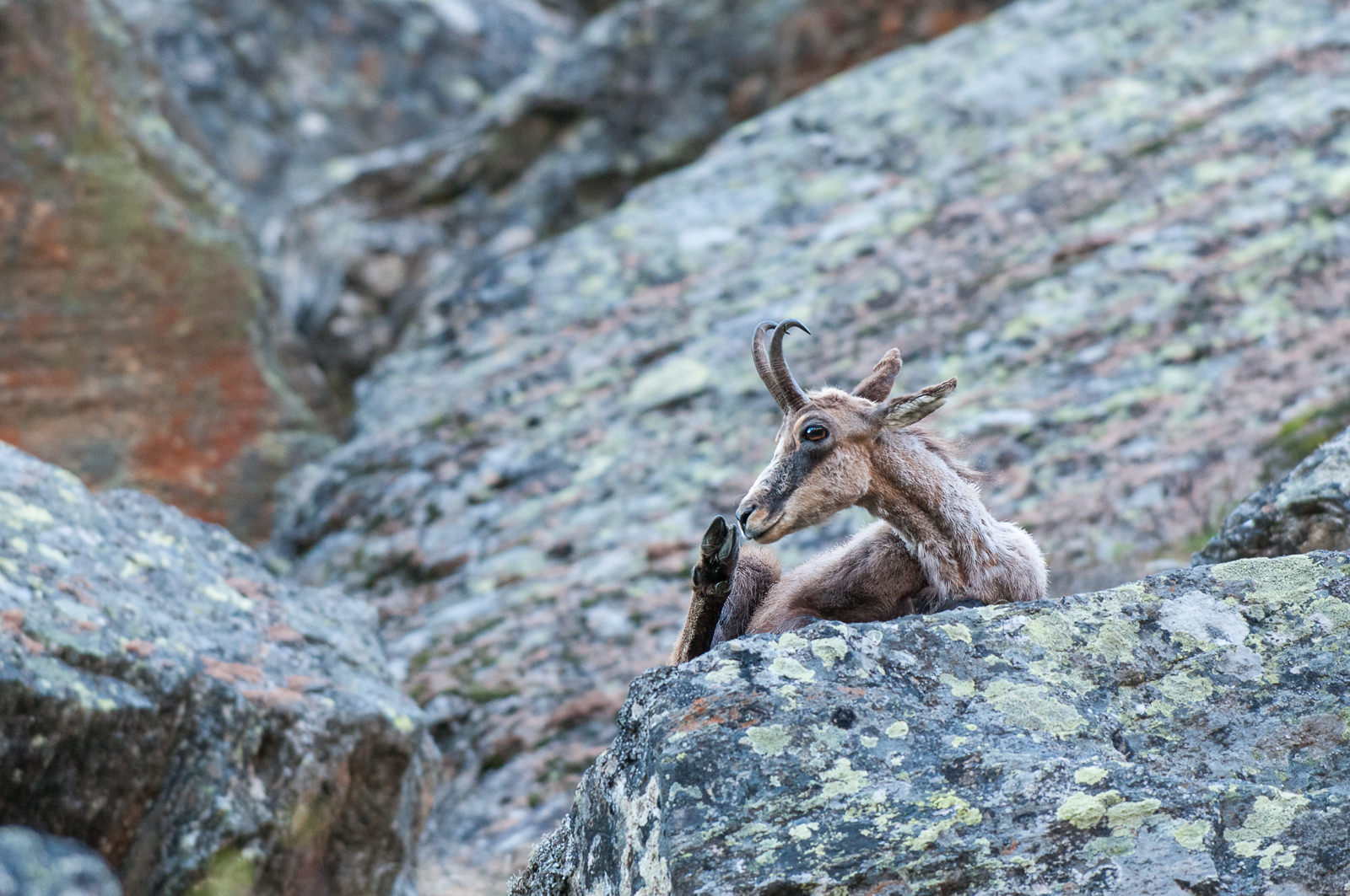 Chamois, Italy